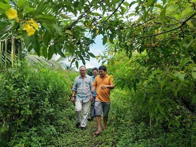 Ruộng muối, vườn cây 'kể chuyện' làm du lịch