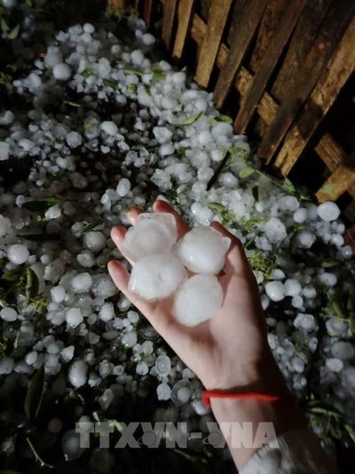 Tuyên Quang: Kích hoạt các phương án ứng phó với thời tiết cực đoan