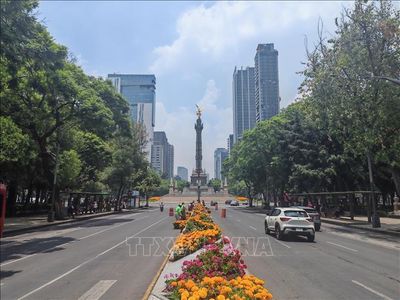 World Cup 2026: Thủ đô Mexico rực rỡ sắc vàng cam đón ngày hội bóng đá thế giới