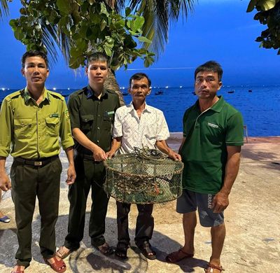 Trăn gấm quý, hiếm được tái thả về rừng Khu Bảo tồn Cù Lao Chàm