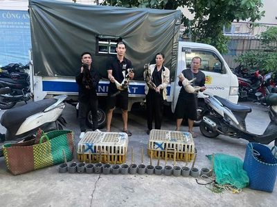Công an TPHCM tạm giữ 10 người sau khi khám xét bãi xe Trúc Quỳnh