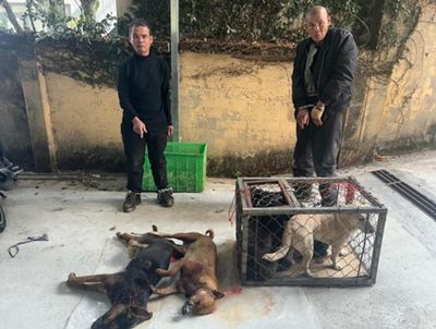 Khởi tố nhóm 'cẩu tặc'