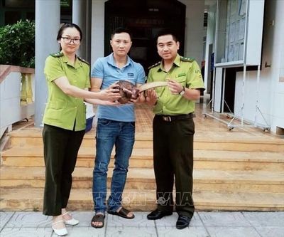 Quảng Trị cứu hộ 5 cá thể động vật hoang dã nguy cấp