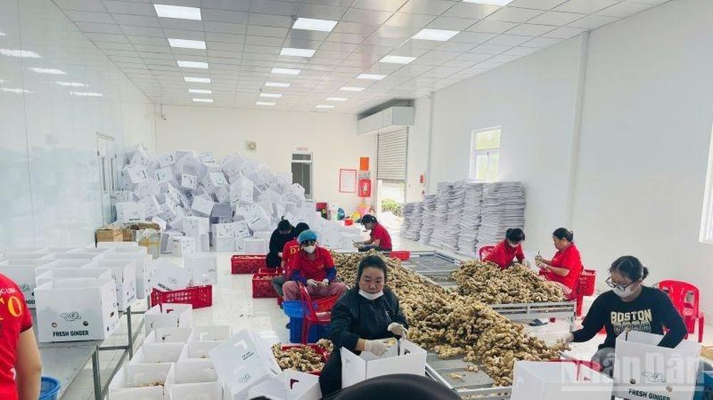 Tin nổi bật ngày 6/12: Chính phủ họp thường kỳ tháng 11; vàng trong nước giảm mạnh
