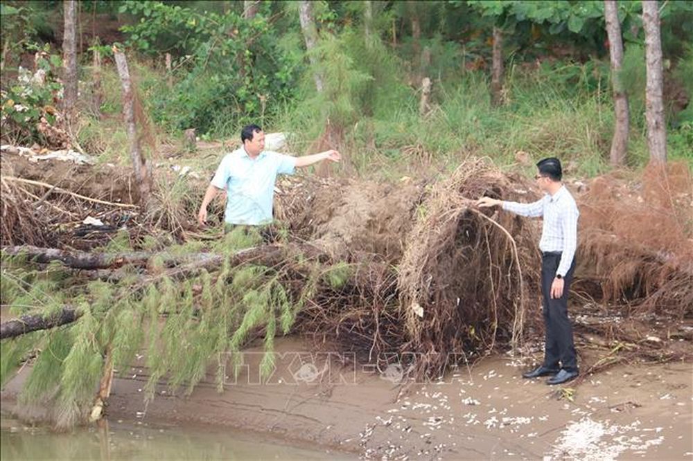 Điểm tin kinh tế Việt Nam nổi bật ngày 24/12/2025