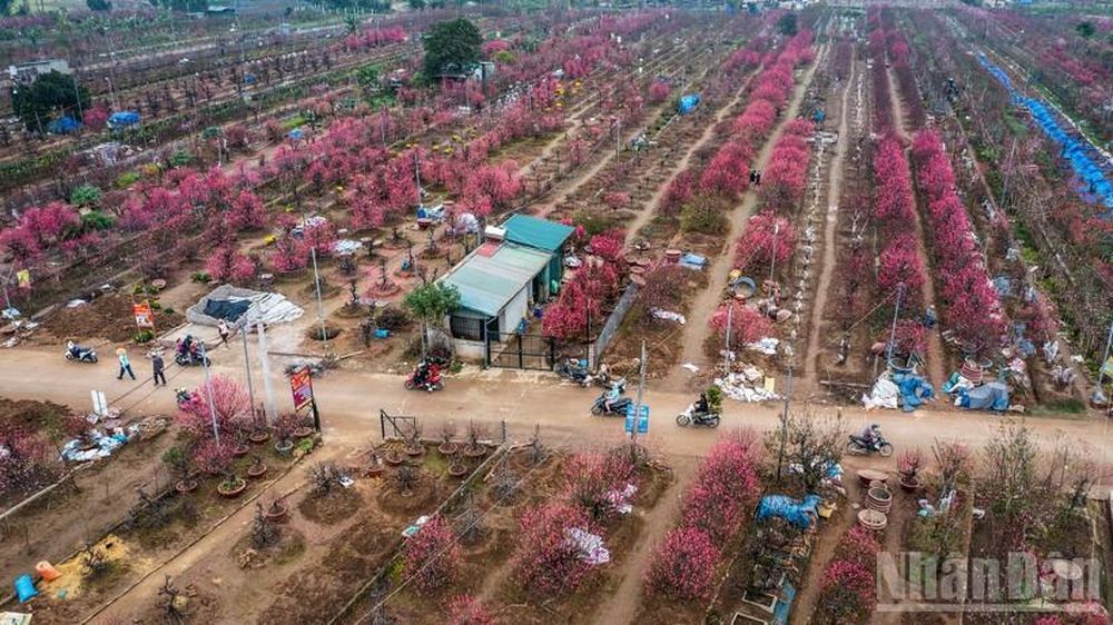 Tin nổi bật ngày 20/1: Khai mạc trọng thể Đại hội đại biểu toàn quốc lần thứ XIV của Đảng; Truyền thông Trung Quốc nhận định về trận bán kết U23 Việt Nam-U23 Trung Quốc