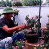 Người nông dân dành cả thập kỷ hiện thực hóa giấc mơ nâng tầm nghề trồng hoa Việt