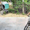 Cậu bé vừa đi học về mới hay tin chị gái lấy chồng