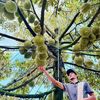 [Ảnh] Mùa sầu riêng trĩu quả ở Đồng Nai