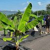Động đất tại Philippines: Ít nhất 12 người thiệt mạng, hàng trăm người bị thương