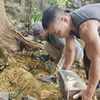 Phát hiện gần 40 hài cốt thai nhi nằm rải rác ở các gốc cây, bờ tường tại Ninh Bình