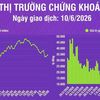 [Infographic] Chứng khoán ngày 10/6: VN-Index tăng 10,66 điểm, khối lượng giao dịch khớp lệnh tăng 8,3%