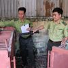 Hơn hai thập kỷ, hoạt động cứu hộ đã hỗ trợ 300 cá thể gấu nuôi nhốt trên cả nước
