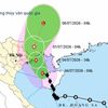 Bão số 1 Maysak cách Móng Cái 210km, Đông Bắc Bộ và Thanh Hóa mưa rất lớn