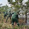 Huế liên tiếp ghi nhận các điểm cháy rừng do nắng nóng
