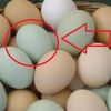 Sự thật về trứng vịt vỏ xanh và vỏ trắng không phải ai cũng biết