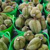 Thứ trưởng và loạt cán bộ bị bắt, lộ rõ góc khuất cấp mã số vùng trồng sầu riêng