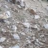 Video khoảnh khắc động đất kèm tiếng nổ ở Cao Bằng, người dân hốt hoảng chạy ra khỏi nhà