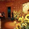 Hà Nội: Triển lãm tái hiện 165 kiệt tác bất hủ của Vincent Van Gogh bằng công nghệ hiện đại