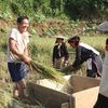 Gỡ nút thắt nguồn lao động vùng đồng bào dân tộc thiểu số và miền núi