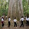 Phẩm chất người lính trong phim tài liệu 'Nguyện ước giữa đại ngàn'