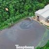 Nguy cơ nước thải chưa qua xử lý chảy tràn ra môi trường ở trang trại lợn rộng 100ha