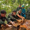 Cất bốc hai phần mộ liệt sĩ công binh tại Lào Cai