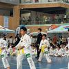 Gần 700 võ sinh tranh tài tại kỳ thi thăng cấp đai Taekwondo