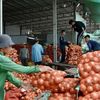 An Giang thúc đẩy xuất khẩu, nâng giá trị các mặt hàng chủ lực