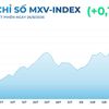 Thị trường hàng hóa thế giới tiếp tục biến động, MXV-Index trở lại vùng 2.900 điểm