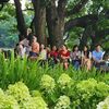 Cẩm tú cầu xanh thu hút người dân, du khách tại hồ Hoàn Kiếm dịp lễ 2-9
