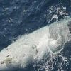 Iran tuyên bố bắt giữ tàu ngầm không người lái Mỹ tại eo biển Hormuz