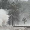Chủ động ứng phó nguy cơ bão số 6, sẵn sàng sơ tán người dân khỏi khu vực nguy hiểm