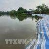 Triều cường vượt báo động III, Đồng Tháp chủ động ứng phó