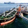 Giá dầu tại Trung Quốc lập kỷ lục do gián đoạn đường ống dẫn dầu của Saudi Arabia