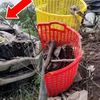 Vụ xương người trong xe bán tải: Một người mất tích bí ẩn khi đi thu nợ