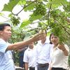 Tập huấn nâng cao kỹ năng cho 15.383 lượt nông dân sản xuất, kinh doanh giỏi