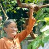 Hàng nghìn người ghé thăm 'cây ổi cười' ở lễ hội Lam Kinh