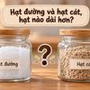Hạt đường và hạt cát, hạt nào dài hơn?