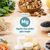 Nên bổ sung magie mỗi ngày bao nhiêu? Khi nào cần bổ sung?
