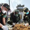 Đà Nẵng kêu gọi cung cấp thông tin về 360 liệt sĩ hy sinh Tết Mậu Thân 1968