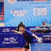 Giải Bóng bàn tranh Cúp Báo và Phát thanh, Truyền hình Hà Nội mở rộng năm 2026: 11 nội dung thi đấu nâng cao và phong trào