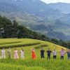 Lào Cai: Đánh thức tiềm năng du lịch từ bản sắc nông thôn