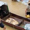 Mực nước sụt bất thường tại thủy điện Cẩm Thủy 1, gần 10 tấn cá lồng chết