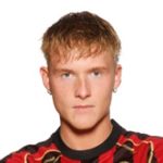 Cầu thủ Finnbogason