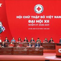 Tổng Bí thư, Chủ tịch nước Tô Lâm: Chuyển từ cứu trợ tình thế sang chủ động, nâng cao khả năng chống chịu của cộng đồng