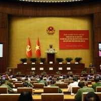 Tổng Bí thư, Chủ tịch nước Tô Lâm: Nắm vững các quyết sách, bước chuyển chiến lược của Trung ương để hành động thống nhất