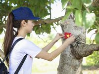 Hình ảnh đẹp của Minh Hằng thể hiện tình yêu Tổ quốc