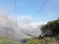 Bảo vệ an toàn đường dây 500kV nhờ kịp thời dập tắt cháy rừng