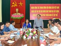 Nông dân Nghệ An đóng góp trên 5.500 tỷ đồng xây dựng nông thôn mới